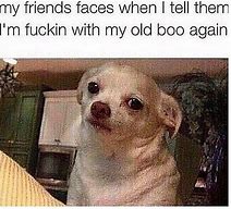 Image result for Go Best Friend Meme