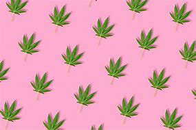 Image result for Pink Marijuana Leaf Katana