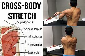 Image result for Shoulder Muscles Stretching