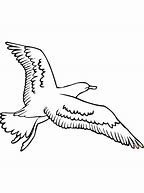 Image result for Seagull Paintings