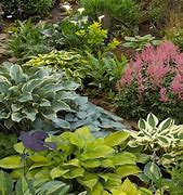 Image result for Shaded Area Garden Paving Ideas