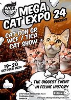 Image result for Karya Cat Poster