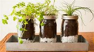 Image result for DIY Mason Jar Herb Garden