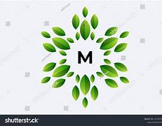 Image result for M Leaf Logo