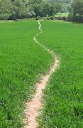 Image result for Streets Roads with Footpath