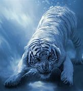 Image result for Blue Tiger Cartoon