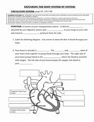 Image result for Circulatory System Grade 5