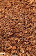 Image result for Peat Plant