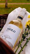 Image result for Mio Vino Wine Bottle