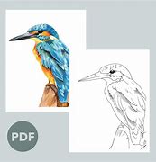 Image result for Kingfisher Color