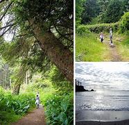 Image result for Oregon Coast Parks Road Trip