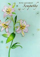 Image result for Sympathy Greeting Cards