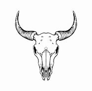 Image result for Buck Skull