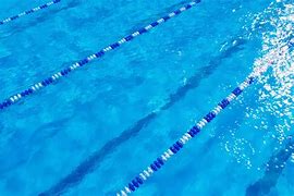 Image result for Pool Swim Lane Dividers