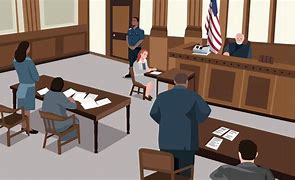 Image result for Courtroom Lawyer