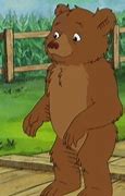 Image result for Little Bear Kids