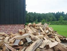 Image result for Haardhout Beuken