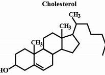 Image result for Cholesterol Molecule Diagram