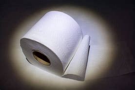 Image result for Toilet Paper Waste