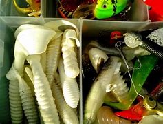 Image result for Fly Fishing Basic Equipment