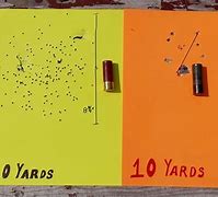 Image result for Birdshot Shells