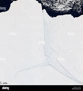 Image result for Amery Ice Shelf