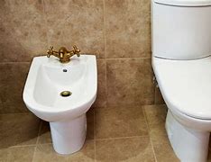 Image result for Bidet Toilet Use