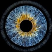 Image result for Eyes Fine Art