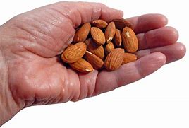 Image result for Winter Nuts