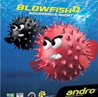 Image result for A Blowfish