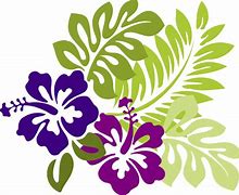 Image result for Purple Hibiscus Flower Clip Art