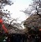 Image result for Ueno Park Banana