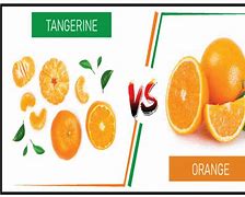 Image result for Orange Tangerine Hybrid