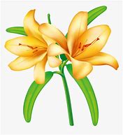 Image result for Yellow Lilly Clip Art