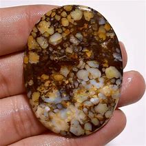 Image result for Dinosaur Bone Jasper