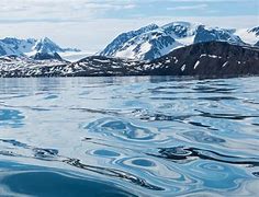 Image result for Tundra Antarctica