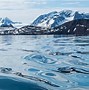 Image result for Tundra Antarctica