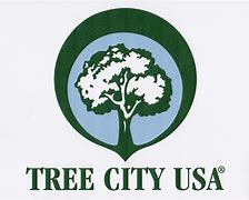 Image result for Tree City Flyer