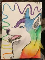 Image result for Rainbow Husky