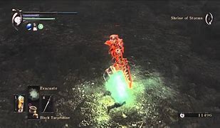 Image result for Demon S Souls Black Phantom