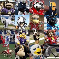 Image result for American Football Mascots