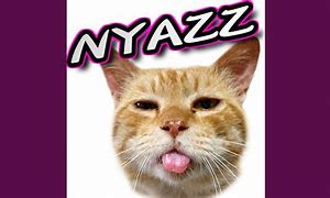 Image result for Nybandz