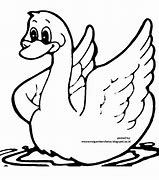 Image result for Gambar Hewan Bebek