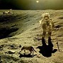 Image result for Space Cat Meme