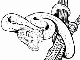 Image result for Pit Viper Tattoo