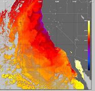 Image result for Ocean Downwelling