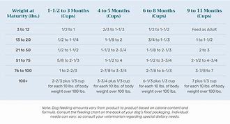 Image result for Puppy Feeding Amount Chart