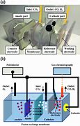 Image result for Electrochemical Cell Structure