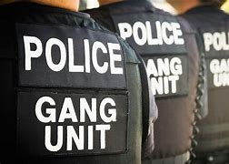 Image result for Houston Police Gang Unit