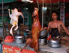 Image result for Chinese Night Market Dog Meat